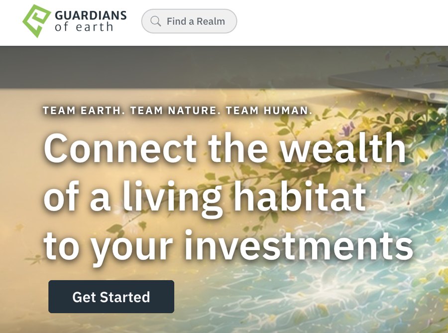 Plataforma Guardians of Earth